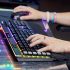 Le Meilleur Hard Wallet Crypto en 2021